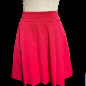 Beautiful Ann Taylor pleaded satiny skirt